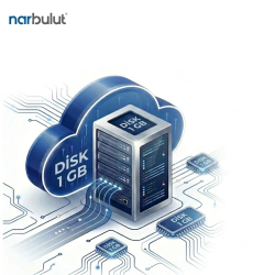Narbulut Bulut Sunucu Disk (1 Gb)