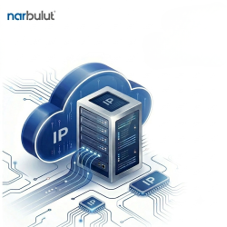 Narbulut Bulut Sunucu Ip - Adet